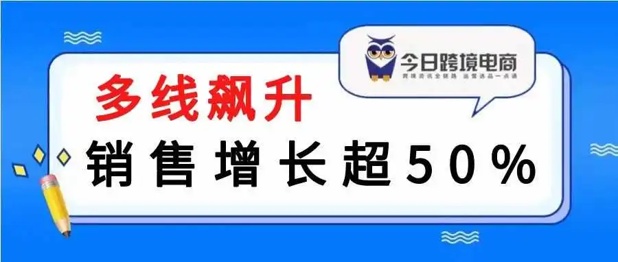 OZON Wildberries 假期市场销售额增长50%
