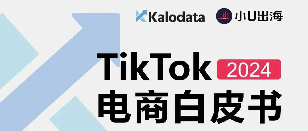 报告分享:《2024年TikTok电商白皮书》— 解锁TikTok电商流量密码