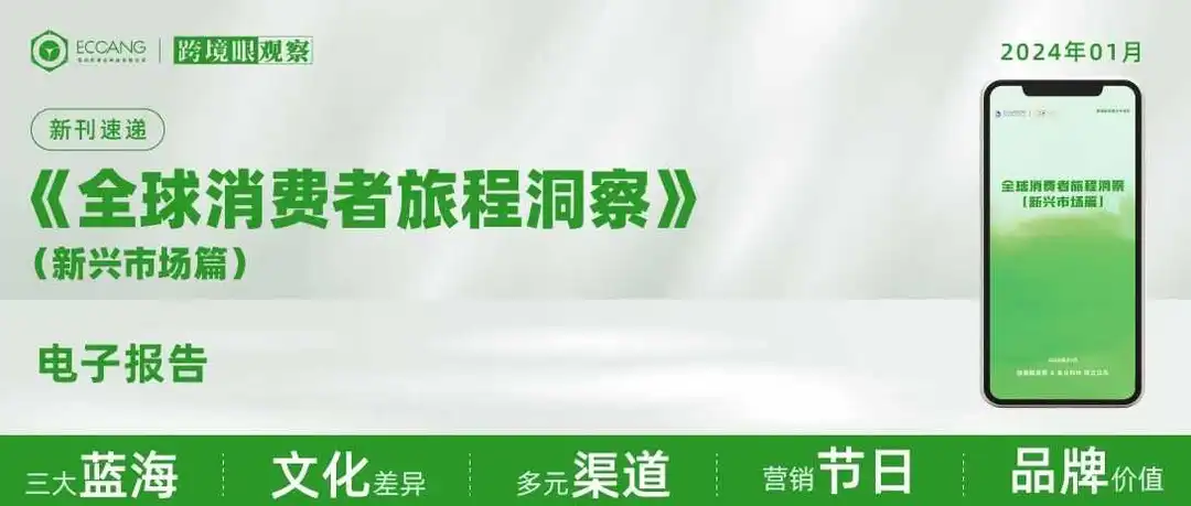 跨境电商新兴市场，排雷！（附消费者报告）