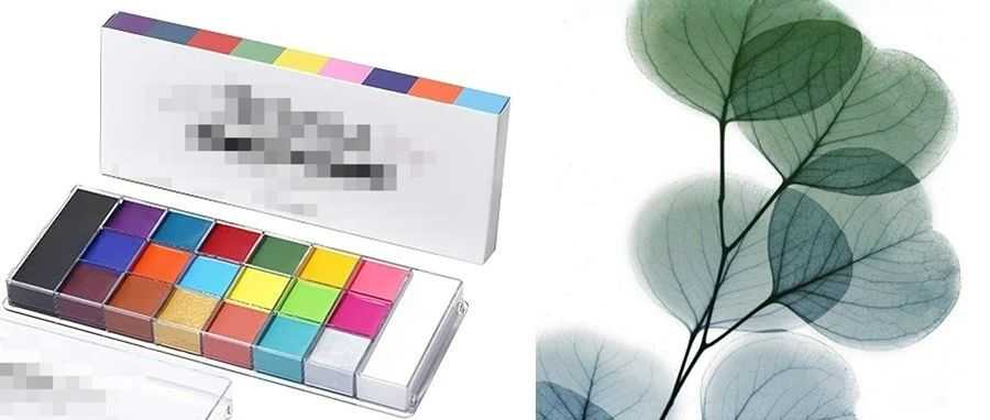 人体彩绘调色板盒已开始专利维权！X射线照片上年已诉千位商家，现在又提诉！