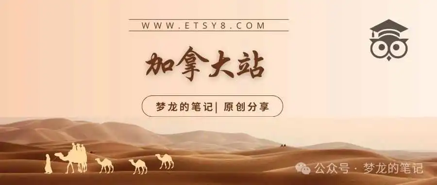 Etsy 平台正在爆单的产品（CA） 2023.12