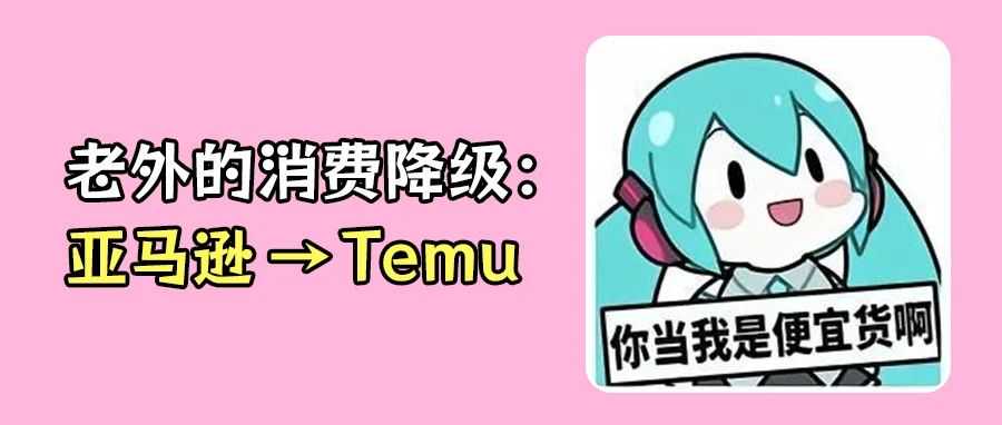 意想不到！Temu最忠诚的顾客其实是婴儿潮一代和X一代！