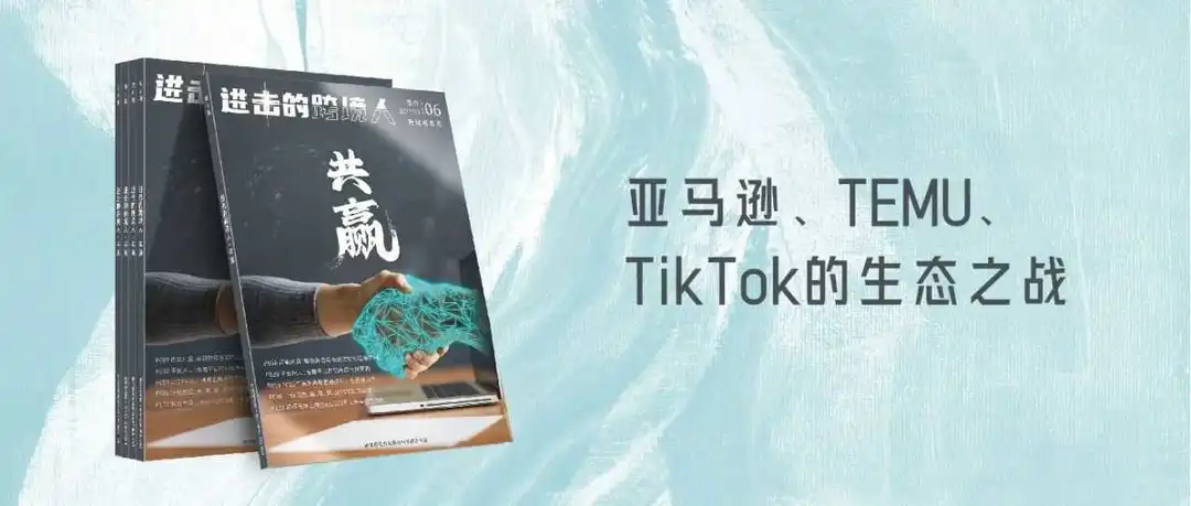 亚马逊、TEMU、TikTok等，正在让卖家变得不同