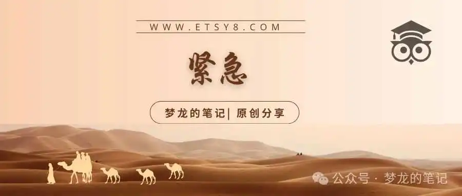 村里最靓的仔注意了，Etsy官方呼你！！！