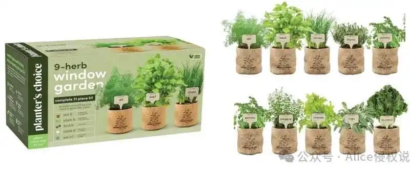 室内植物种子,独立站版权切勿模仿!