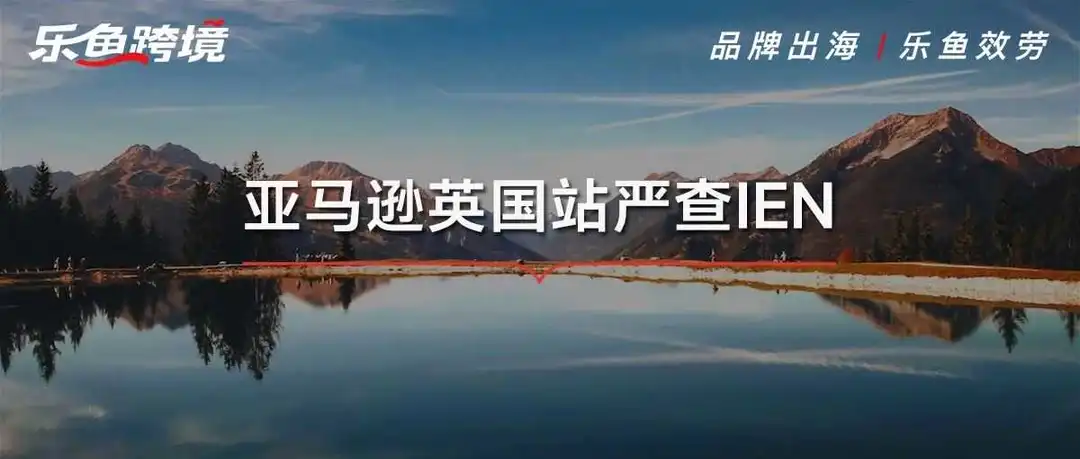 亚马逊英国站严查IEN码,走的是包税,这个编号怎么填?
