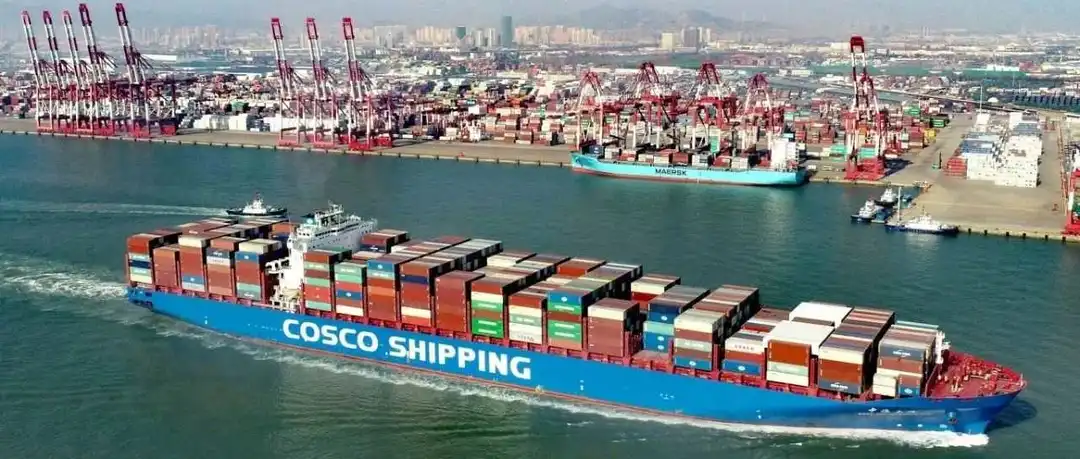 国际海运低价订舱:中国--全球各地双清派送到门