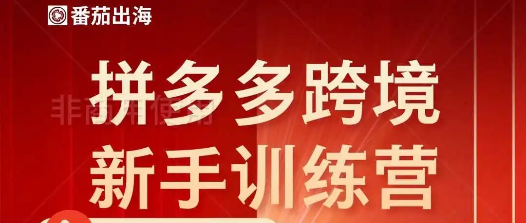 Temu大势已去？未来中小卖家的出路在哪？