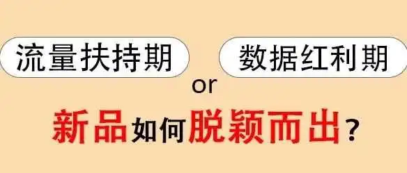 别在相信新品流量扶持期了!亚马逊的真相你知道吗?