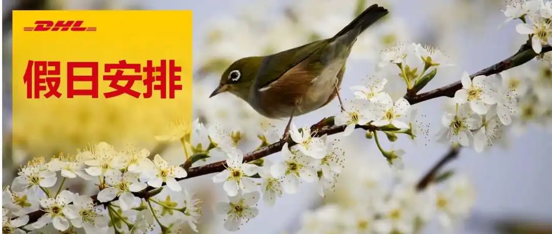 DHL电子商务 清明节及复活节假期服务安排