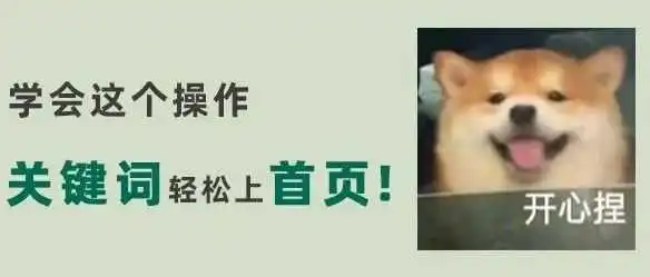 最低成本让关键词快速上首页的技巧!这还不爆单?