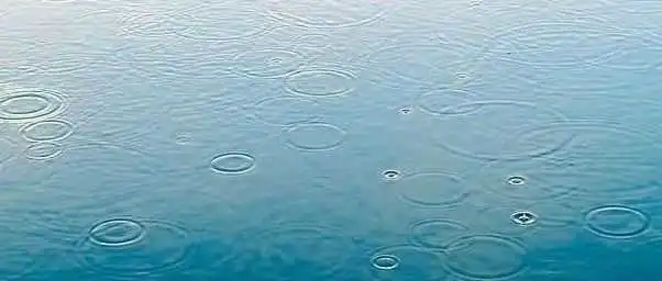 利贸咨询白皮书（十二）外贸企业经营风险管控行为分析