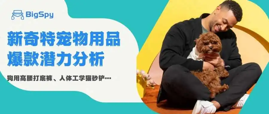 房产销售转行卖猫家具,只推一个爆款月入超$30万,融资超$200万