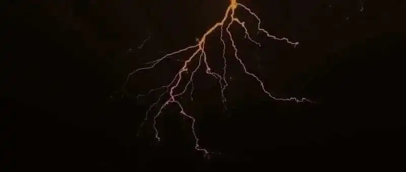 突发!又一个亚马逊类目头牌申请破产