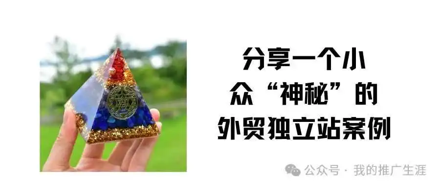 分享一个小众“神秘”的外贸独立站案例