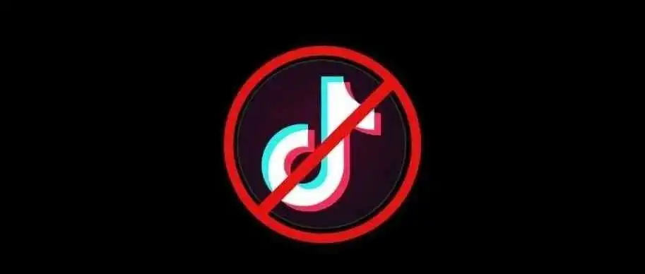 TikTok的美国危机和全球机会