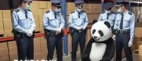 杭州跨境大卖30多人被抓，数百万包裹查封！大卖靠假货海外爆单40亿？