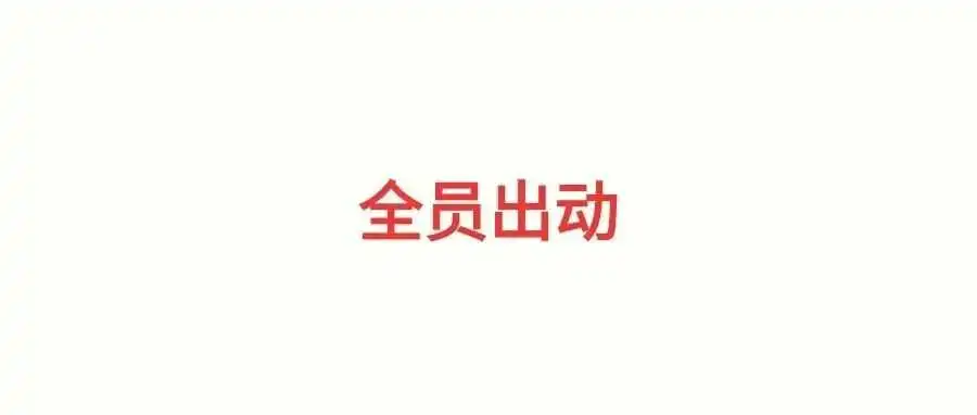 拼多多国内出动2万人!TEMU半托这波增量猛的一比……