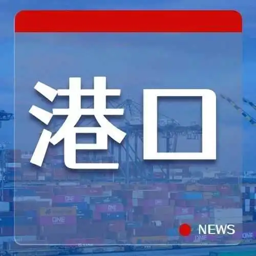 生产效率和吞吐量低下，船公司不选釜山当枢纽港