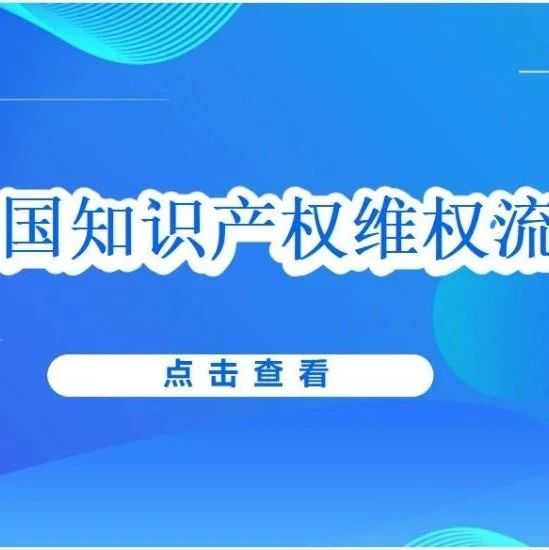 关于知识产权在美国法院的起诉流程