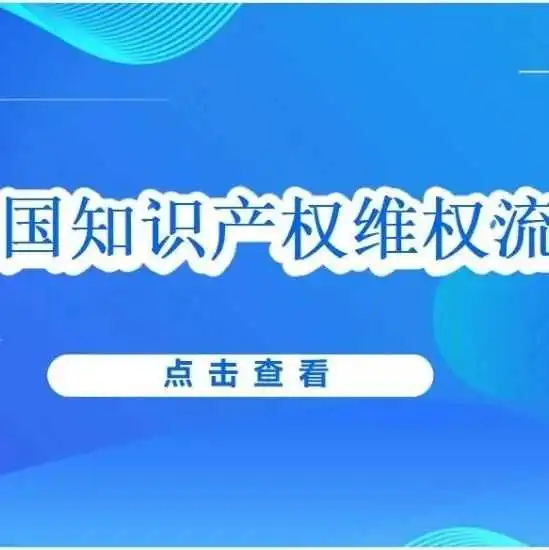 关于知识产权在美国法院的起诉流程