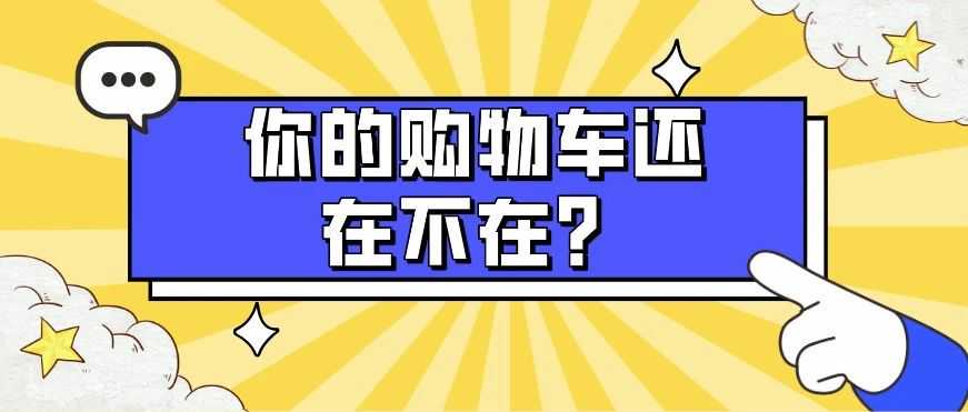 速度检查！你的购物车还在不在？