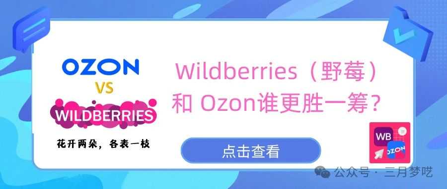 【花开两朵，各表一枝】Wildberries（野莓）VS Ozon，哪个好做？中国市场成跨境香饽饽？