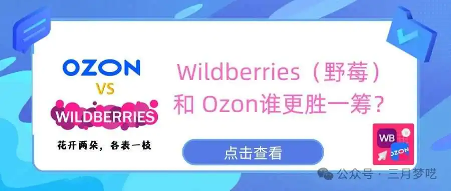 【花开两朵,各表一枝】Wildberries(野莓)VS Ozon,哪个好做?中国市场成跨境香饽饽?