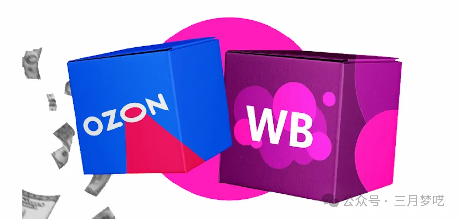 【花开两朵，各表一枝】Wildberries（野莓）VS Ozon，哪个好做？中国市场成跨境香饽饽？