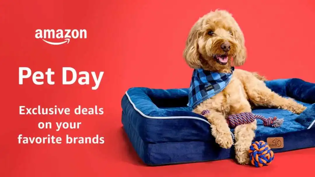 案例解读：Prime Day大促，宠物品牌雀巢普瑞纳做对了什么
