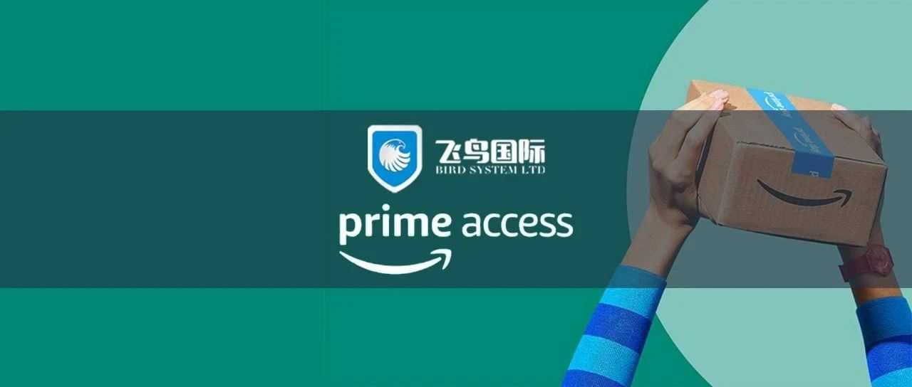 成为Temu？亚马逊推出Amazon Access，低价成竞争优势