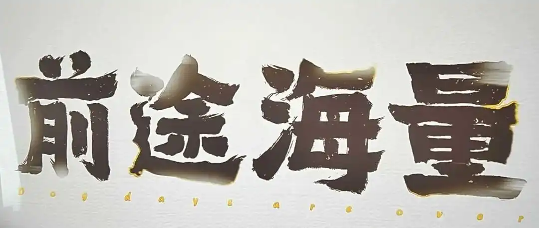 Z总的品牌出海经历!