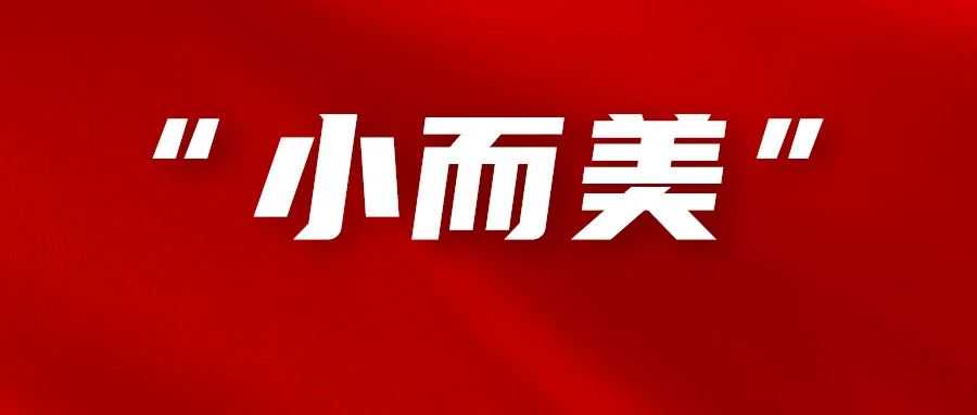 董海温：突破利润增量的“小而美”模式，更适合亚马逊中小卖家的选择！