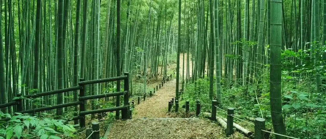 外媒称随着美加征关税,越南从中国进口量激增
