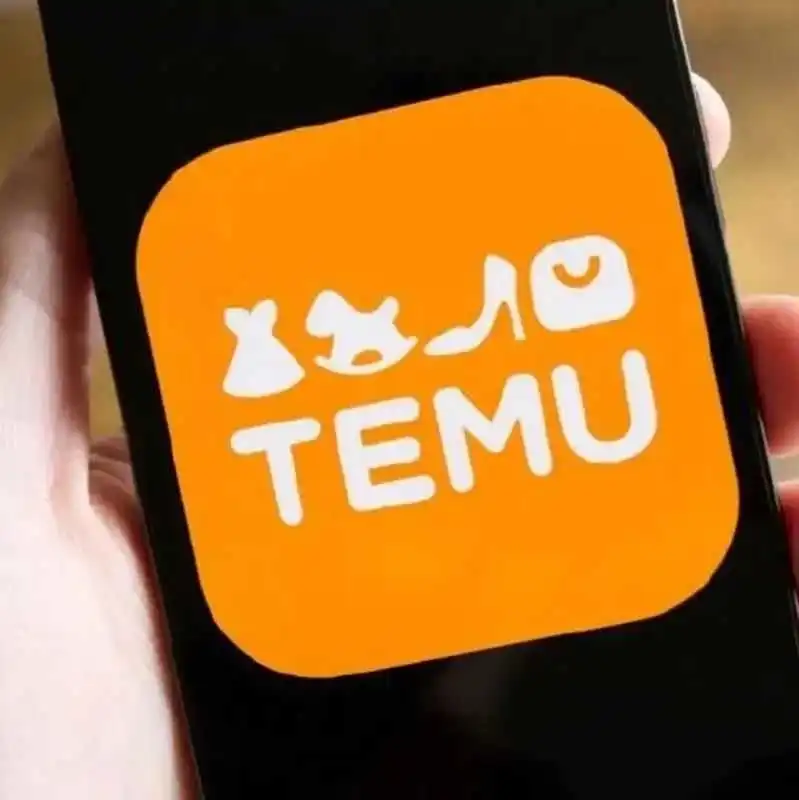 Temu法国的第一年 ： 7 个关键统计数据