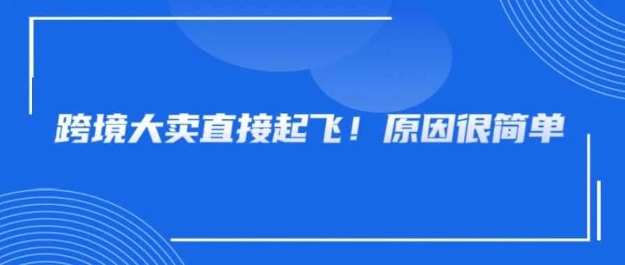 卖爆案例分享！跨境大卖突破瓶颈，半年营收66亿