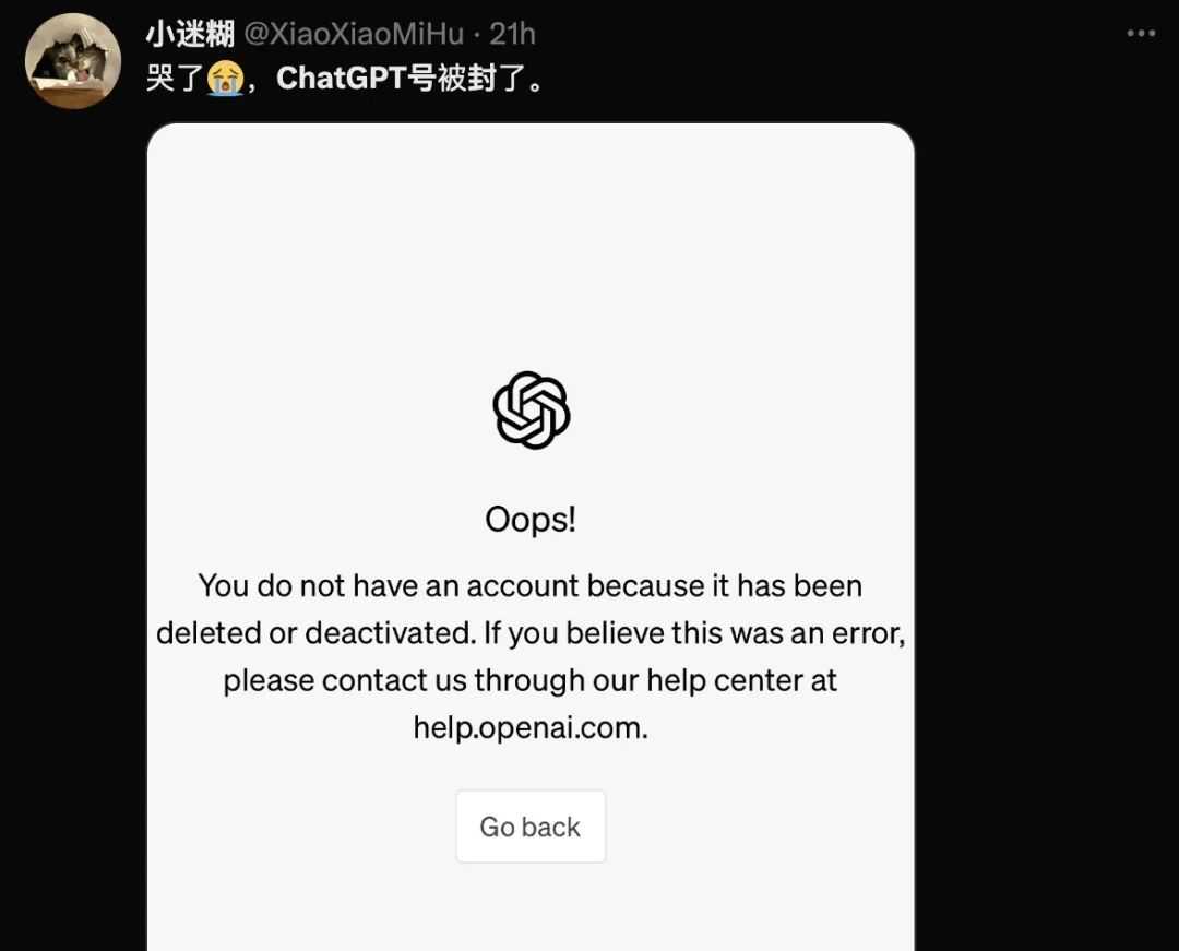 ChatGPT又现大规模封号！跨境卖家恐受影响