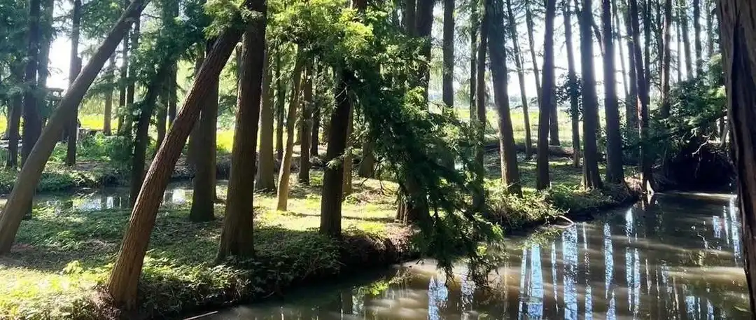 对拉美市场感兴趣的朋友们看过来!