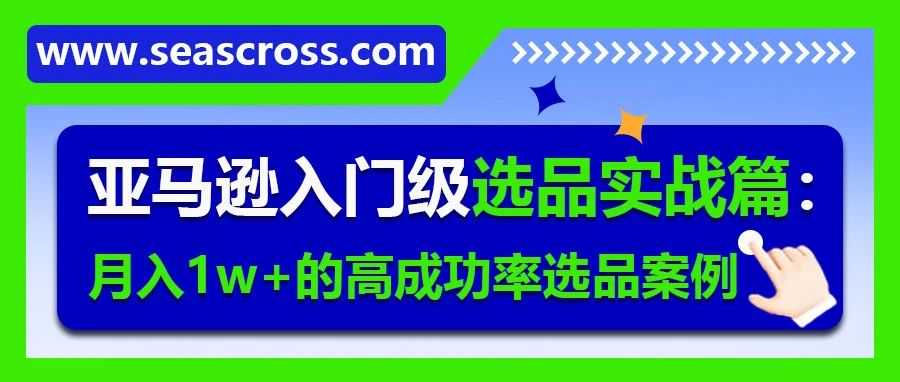 亚马逊入门级选品实战篇：月入1w+的高成功率选品案例