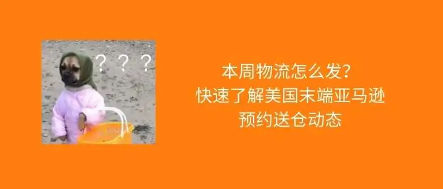 美国超强飓风来袭,大量港口关闭,物流时效将受影响!
