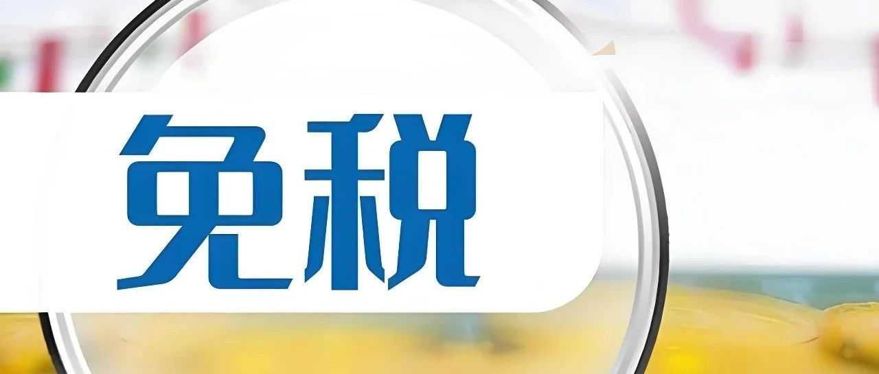 小规模纳税人销售额10万元以下免征增值税政策？一篇文章带你全面了解！