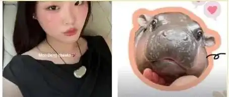 TikTok用户争相模仿,“河马妆”成新潮流符号!