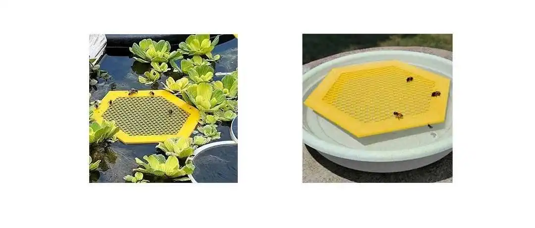 【侵权快讯】24-cv-10987 SCIP代理Bee Island 漂浮蜜蜂岛版权发案!这几张图不能再用,速看避雷!