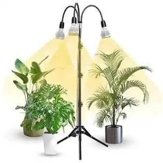 【24-cv-11654】LED植物生长灯TRO专利维权,立即停售下架!未开始冻结账户资金!