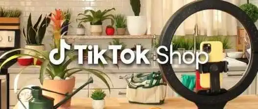 TikTok Shop预计黑五销售三位数增长;Temu向所有美国卖家开放|Morketing Global周刊27期