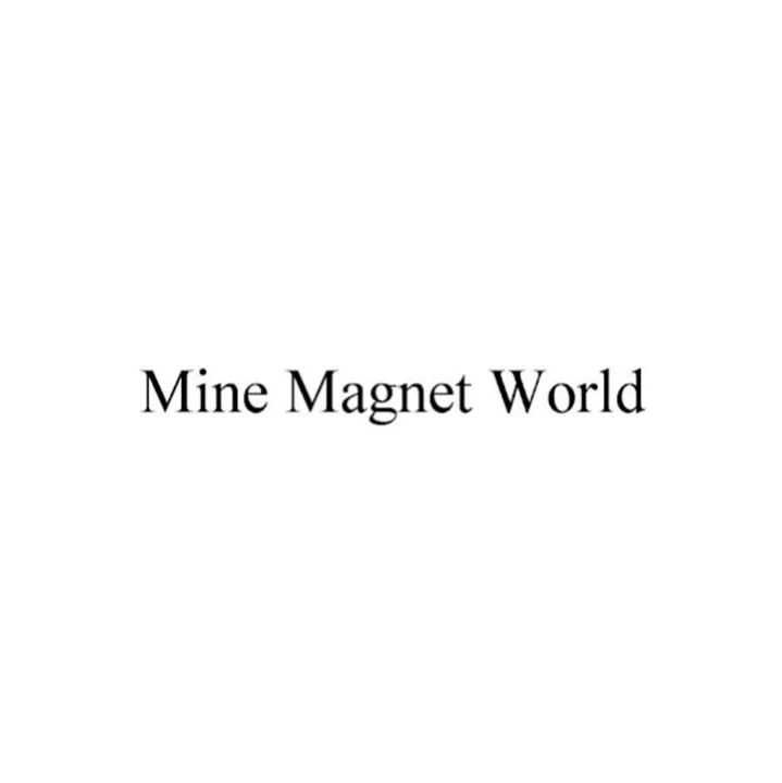 【侵权和解】24-cv-11906 积木卖家速看避雷！国人原告发起Mine Magnet World 商标维权！