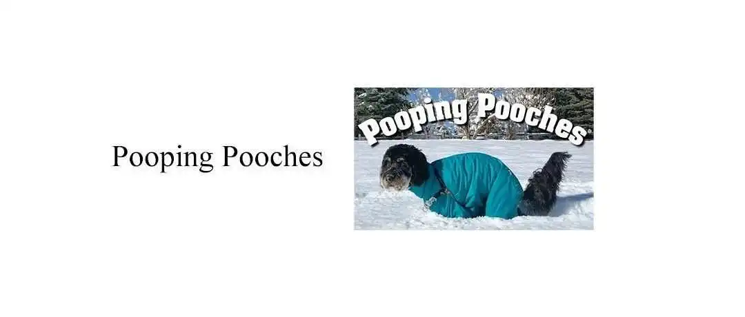 【侵权快讯】24-cv-13117 小狗拉屎又发维权?这次是商标!Pooping Pooches这个单词不能用!