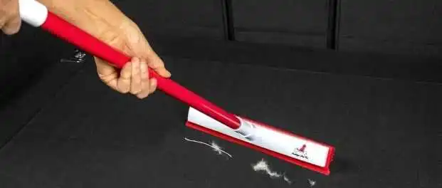 单条视频超1430万次播放，又一宠物清洁品牌在TikTok出圈 | 品牌案例
