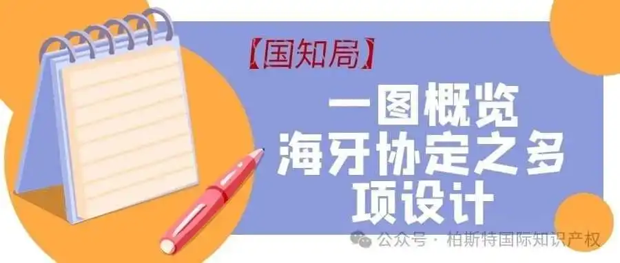 【国知局】一图概览海牙协定之多项设计