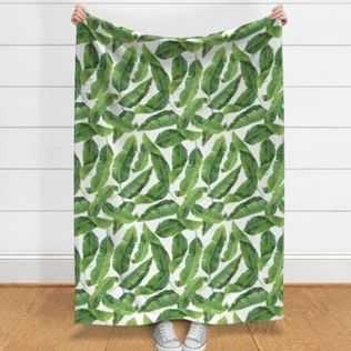 【25-cv-247】Taylor Bates水彩插画TRO版权维权，这两张植物图片请谨慎使用！未开始冻结账户资金！